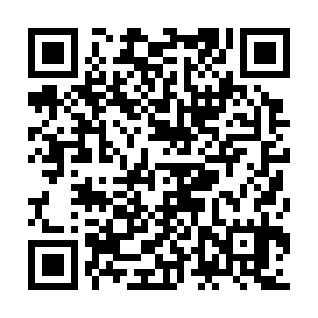 QR code for ZDP335