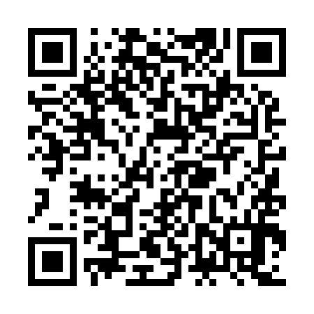 QR code for ZDT994