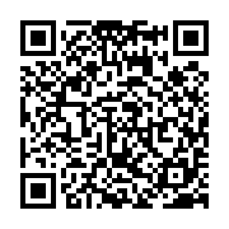 QR code for ZDU595