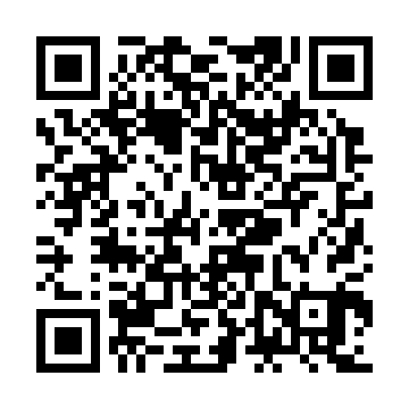 QR code for ZDZ301