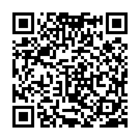QR code for ZDZ569