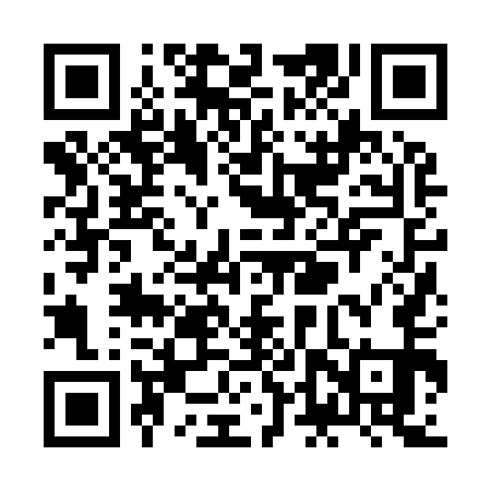 QR code for ZDZ951