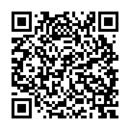 QR code for ZEN386