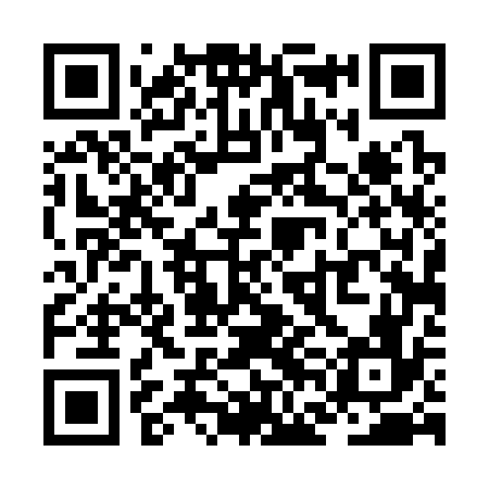 QR code for ZFD376