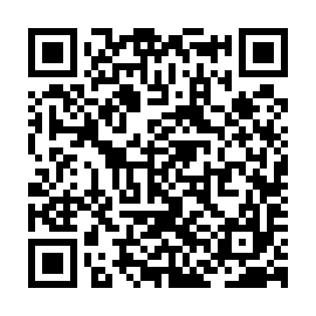 QR code for ZFF597
