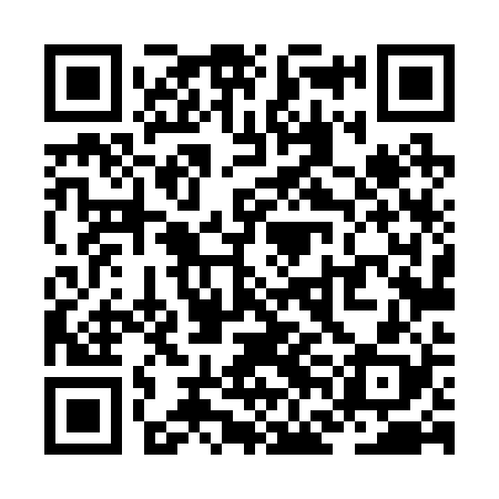 QR code for ZFL228