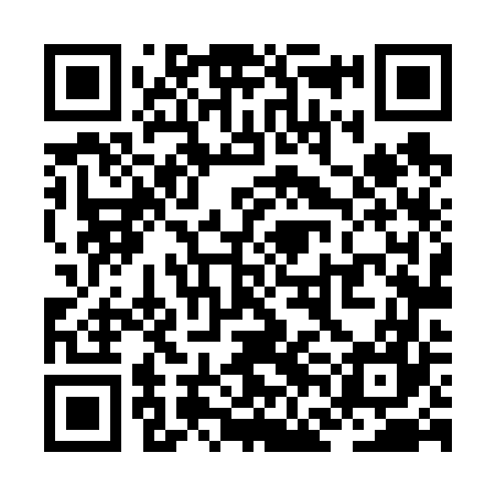 QR code for ZFL667
