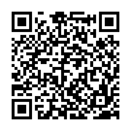 QR code for ZFW216