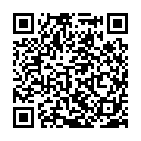 QR code for ZFY311