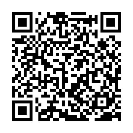 QR code for ZFZ125