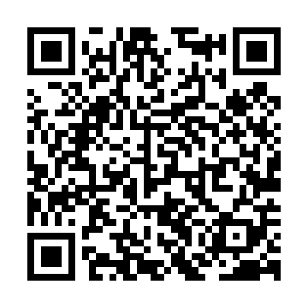 QR code for ZGL409