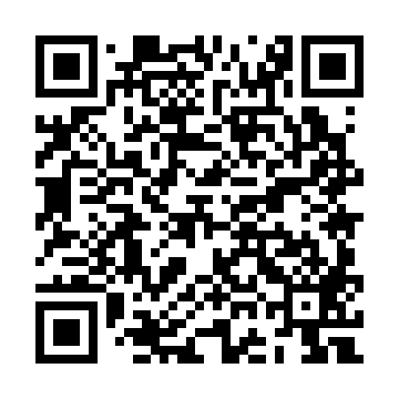 QR code for ZGM389