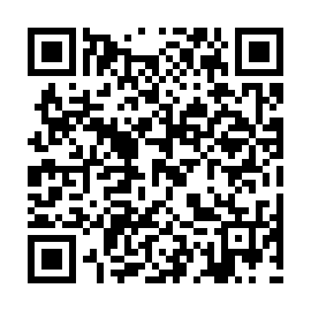 QR code for ZGP335