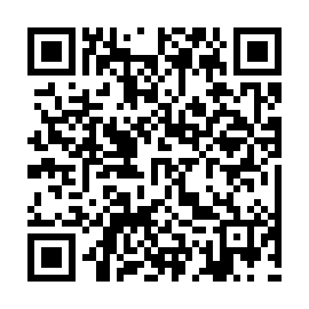 QR code for ZGR386
