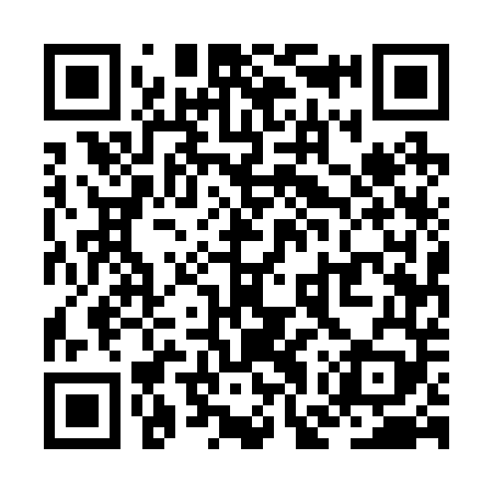 QR code for ZGU249