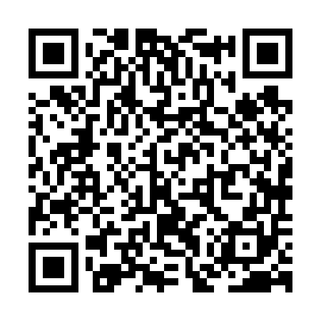 QR code for ZGX650