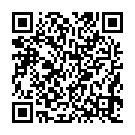 QR code for ZHA173