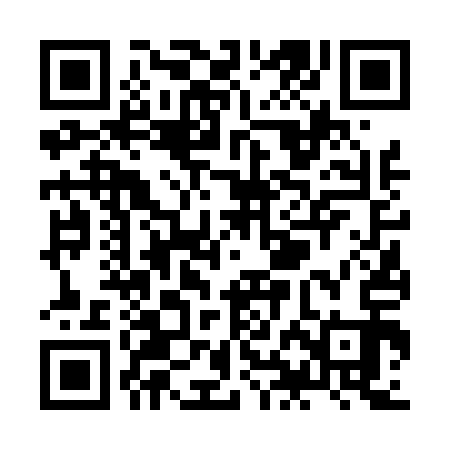 QR code for ZHF413