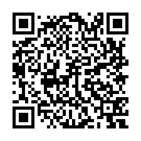 QR code for ZHI971