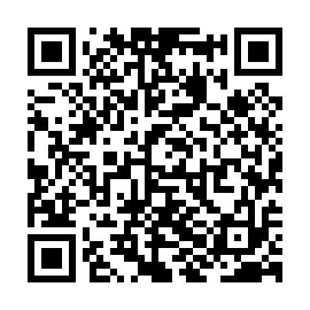 QR code for ZHM013