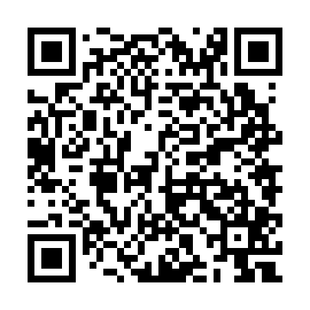 QR code for ZHN305