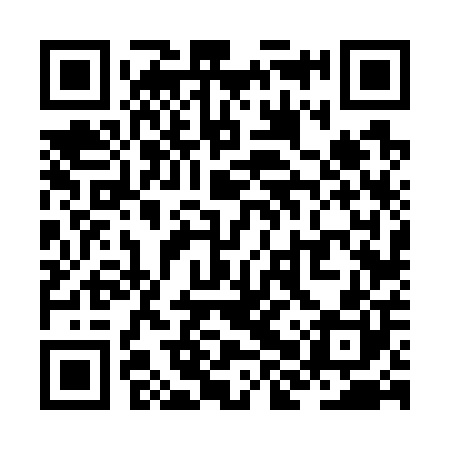 QR code for ZHV700