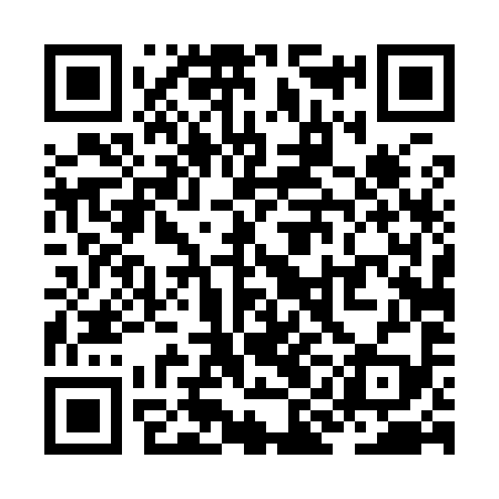 QR code for ZID999