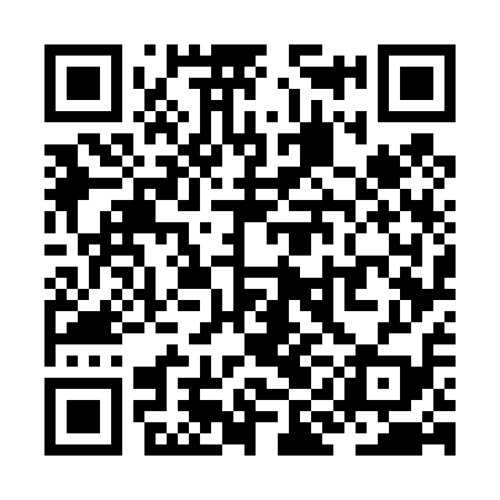 QR code for ZIG419