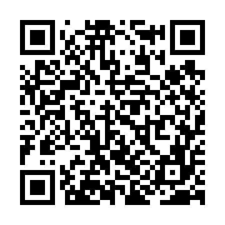 QR code for ZIG656
