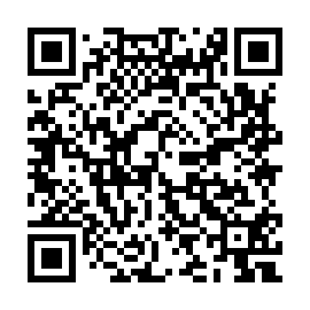 QR code for ZII910