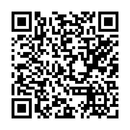 QR code for ZIN225