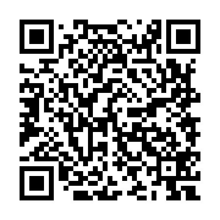 QR code for ZIN919
