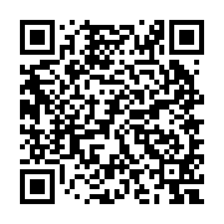 QR code for ZIU291
