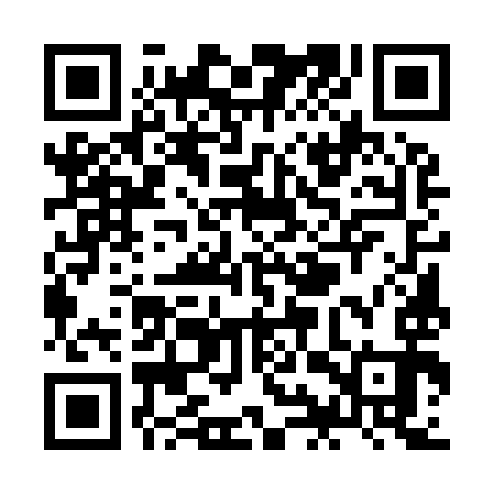 QR code for ZIU993