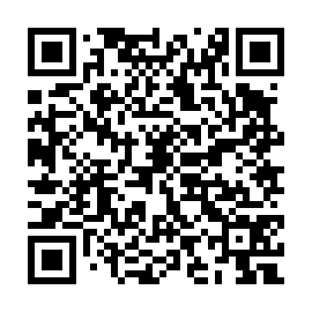 QR code for ZIZ474