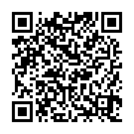 QR code for ZIZ930