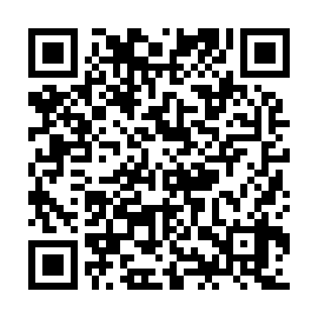 QR code for ZIZ938
