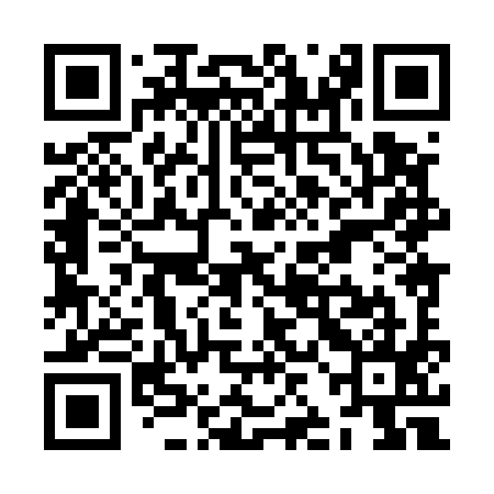 QR code for ZJH595