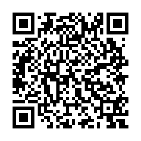 QR code for ZJI310