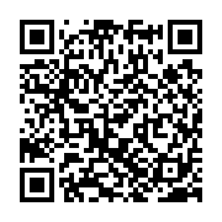 QR code for ZJI711