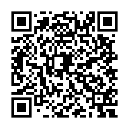 QR code for ZJJ511