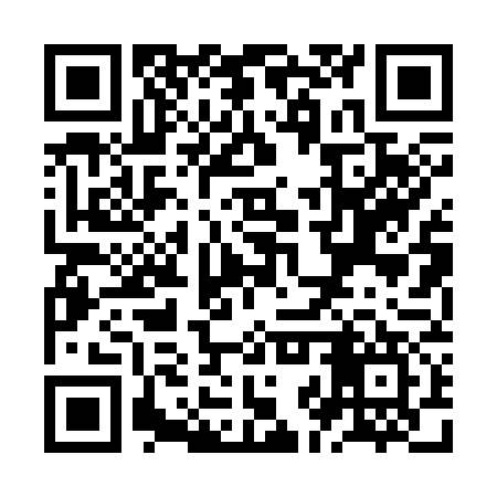 QR code for ZJP377