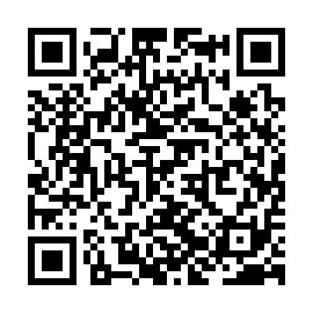 QR code for ZJQ311