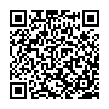 QR code for ZJT994