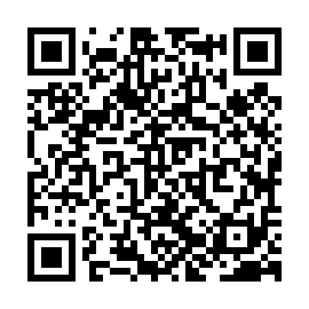 QR code for ZJZ411