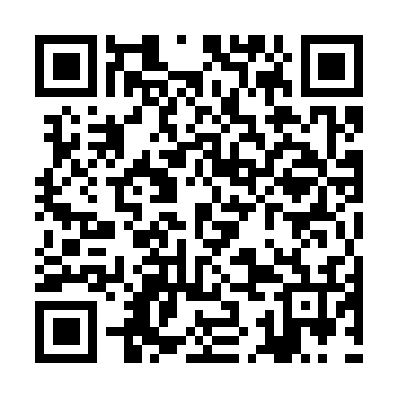 QR code for ZKM336