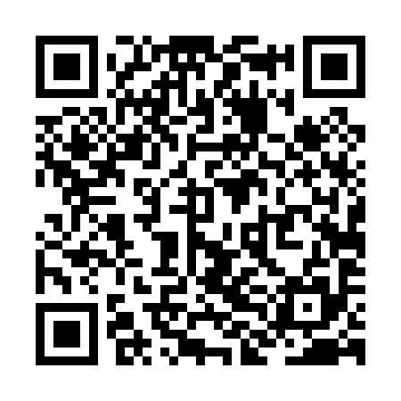 QR code for ZLD095