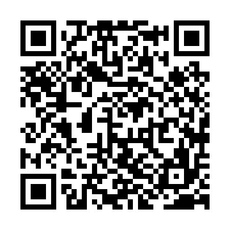 QR code for ZLH216