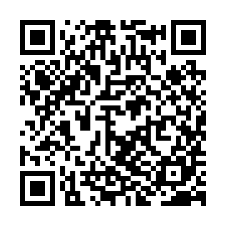 QR code for ZLI285