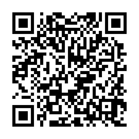 QR code for ZLL382